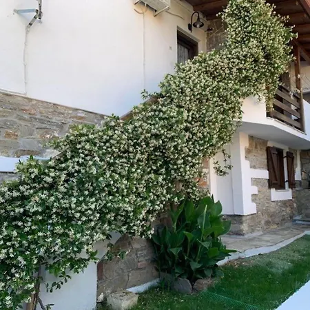 Cosy In With Garden * Agios Nikolaos (Chalkidiki)